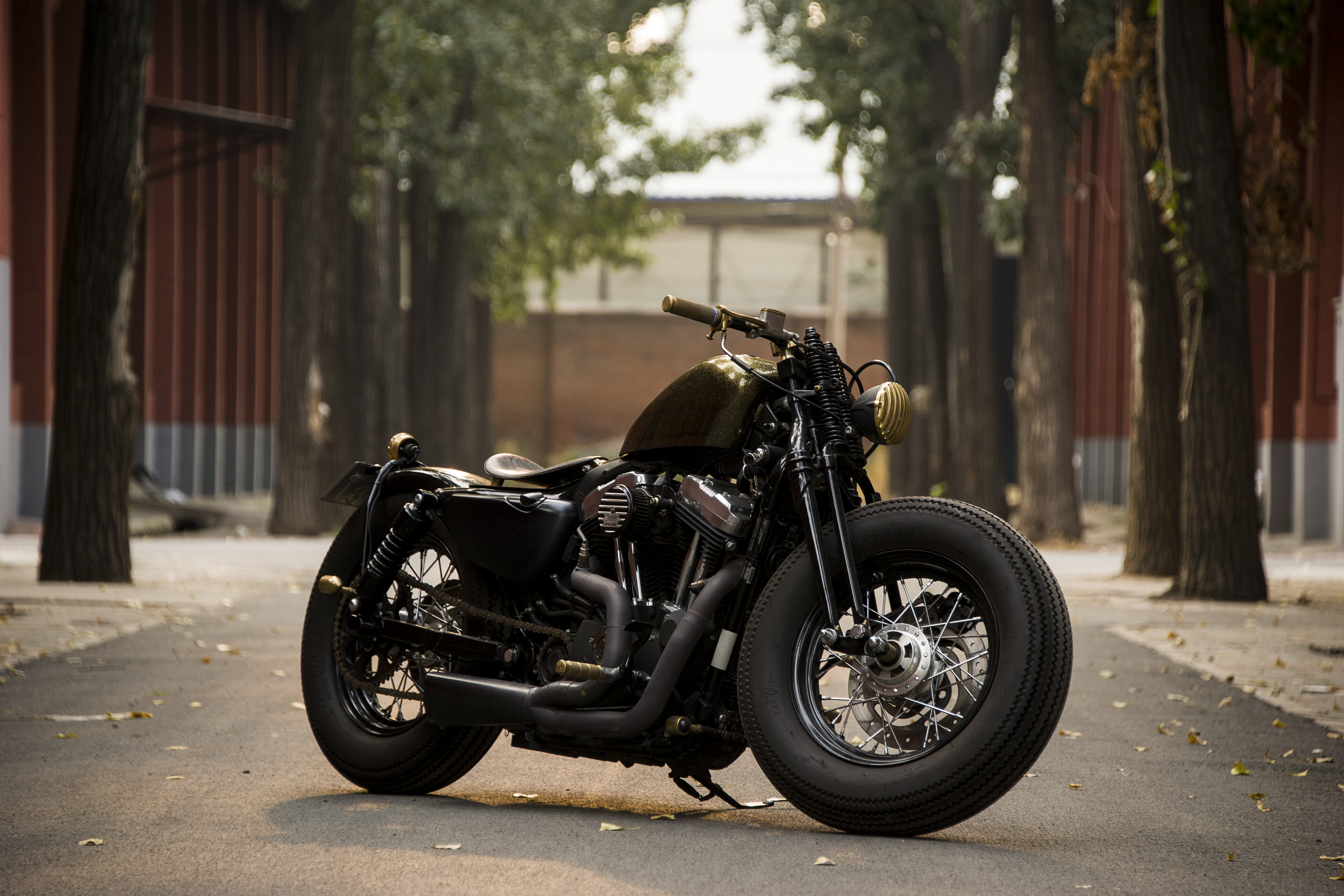 哈雷戴维森- 2014款 xl1200x forty-eight