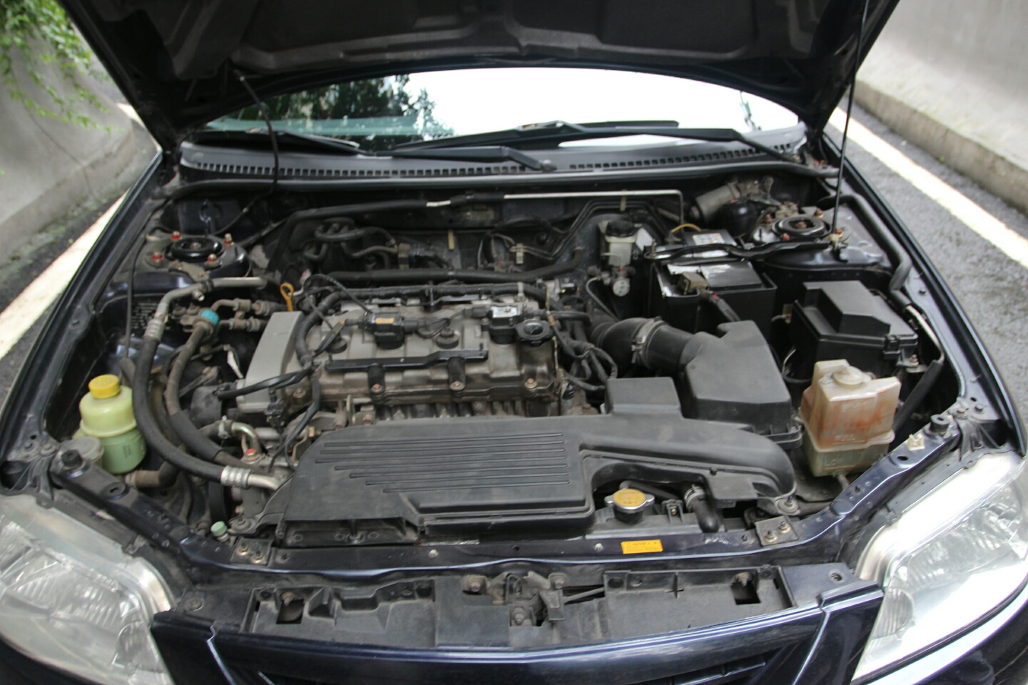 海马-海福星 2009款 1.6l 手动标准gl