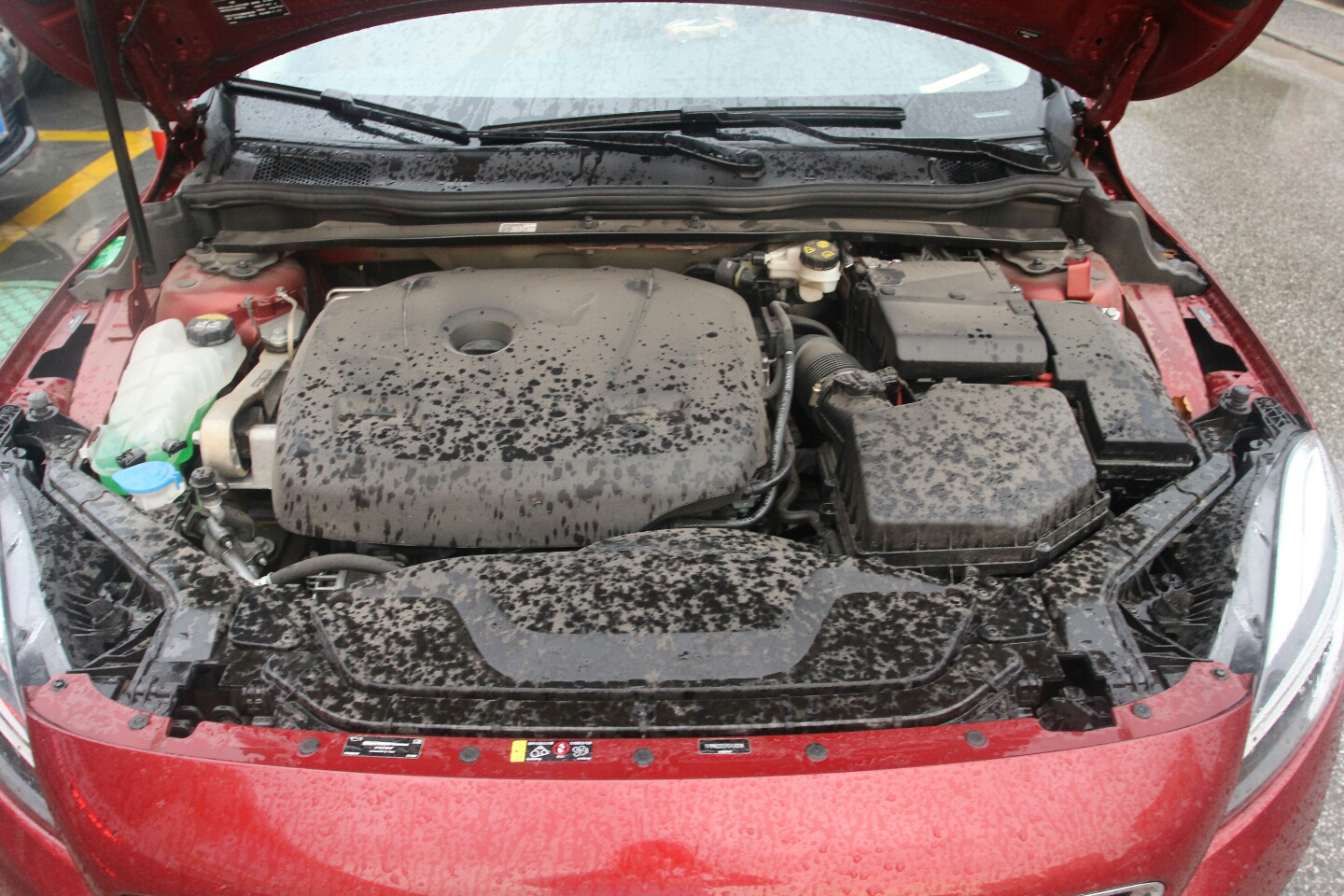 沃尔沃-v40 2017款 1.5t t3 智雅版